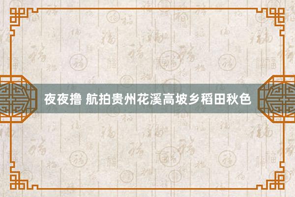 夜夜撸 航拍贵州花溪高坡乡稻田秋色