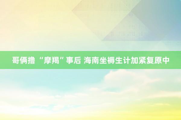 哥俩撸 “摩羯”事后 海南坐褥生计加紧复原中