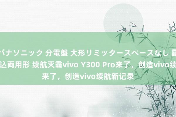 パナソニック 分電盤 大形リミッタースペースなし 露出・半埋込両用形 续航灭霸vivo Y300 Pro来了，创造vivo续航新记录