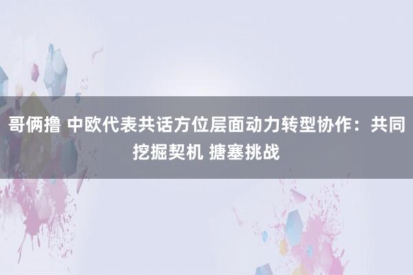 哥俩撸 中欧代表共话方位层面动力转型协作：共同挖掘契机 搪塞挑战