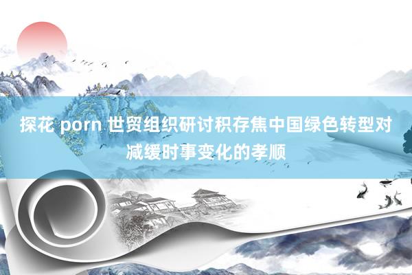 探花 porn 世贸组织研讨积存焦中国绿色转型对减缓时事变化的孝顺