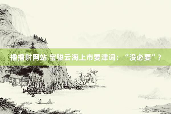 撸撸射网站 宝骏云海上市要津词：“没必要”？