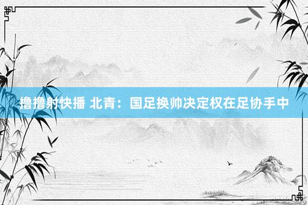 撸撸射快播 北青：国足换帅决定权在足协手中