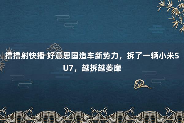 撸撸射快播 好意思国造车新势力，拆了一辆小米SU7，越拆越萎靡
