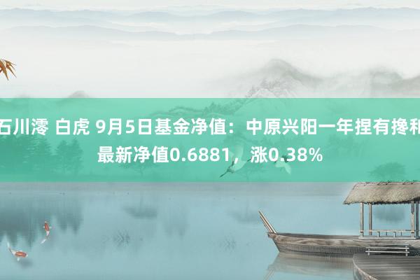 石川澪 白虎 9月5日基金净值：中原兴阳一年捏有搀和最新净值0.6881，涨0.38%