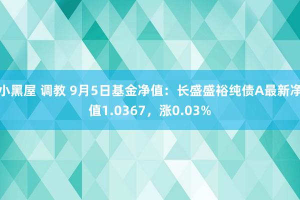 小黑屋 调教 9月5日基金净值：长盛盛裕纯债A最新净值1.0367，涨0.03%