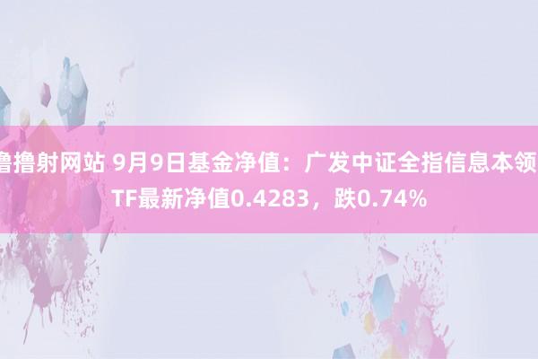 撸撸射网站 9月9日基金净值：广发中证全指信息本领ETF最新净值0.4283，跌0.74%