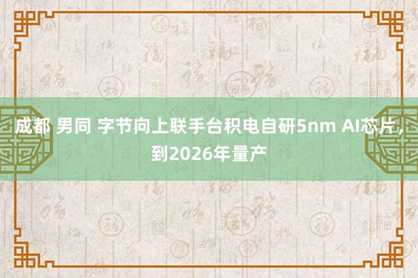 成都 男同 字节向上联手台积电自研5nm AI芯片，到2026年量产