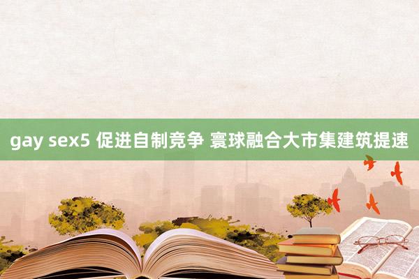 gay sex5 促进自制竞争 寰球融合大市集建筑提速