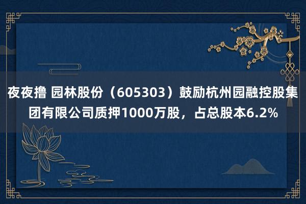 夜夜撸 园林股份（605303）鼓励杭州园融控股集团有限公司质押1000万股，占总股本6.2%