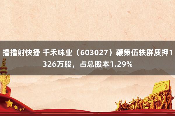 撸撸射快播 千禾味业（603027）鞭策伍轶群质押1326万股，占总股本1.29%