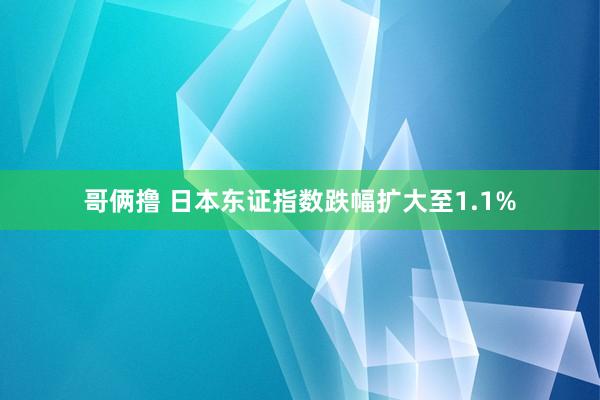 哥俩撸 日本东证指数跌幅扩大至1.1%