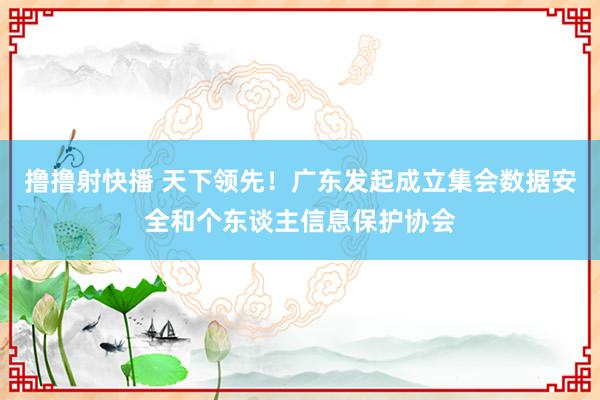 撸撸射快播 天下领先！广东发起成立集会数据安全和个东谈主信息保护协会