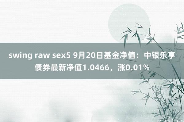 swing raw sex5 9月20日基金净值：中银乐享债券最新净值1.0466，涨0.01%