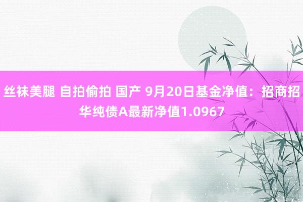 丝袜美腿 自拍偷拍 国产 9月20日基金净值：招商招华纯债A最新净值1.0967