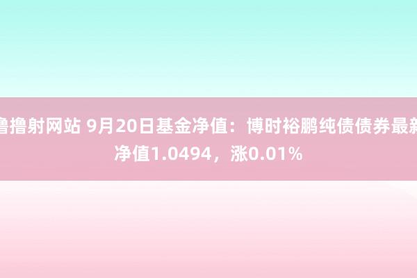 撸撸射网站 9月20日基金净值：博时裕鹏纯债债券最新净值1.0494，涨0.01%