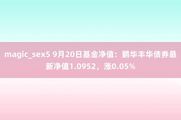 magic_sex5 9月20日基金净值：鹏华丰华债券最新净值1.0952，涨0.05%