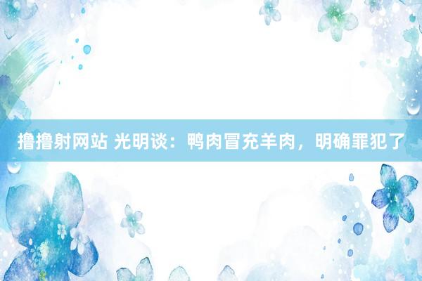 撸撸射网站 光明谈：鸭肉冒充羊肉，明确罪犯了
