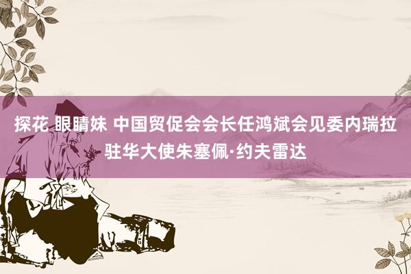 探花 眼睛妹 中国贸促会会长任鸿斌会见委内瑞拉驻华大使朱塞佩·约夫雷达