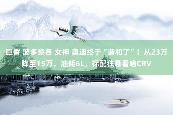 巨臀 波多黎各 女神 奥迪终于“谐和了”！从23万降至15万，油耗6L，标配独悬看啥CRV