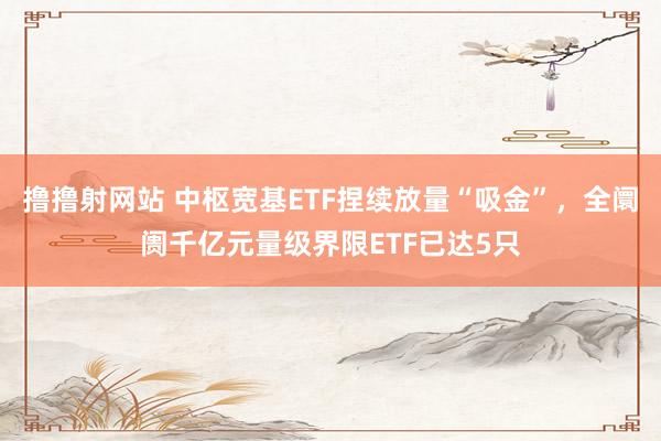 撸撸射网站 中枢宽基ETF捏续放量“吸金”，全阛阓千亿元量级界限ETF已达5只