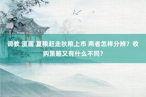 调教 漫画 夏粮赶走秋粮上市 两者怎样分辨？收购策略又有什么不同？
