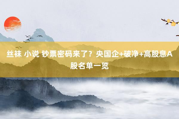 丝袜 小说 钞票密码来了？央国企+破净+高股息A股名单一览