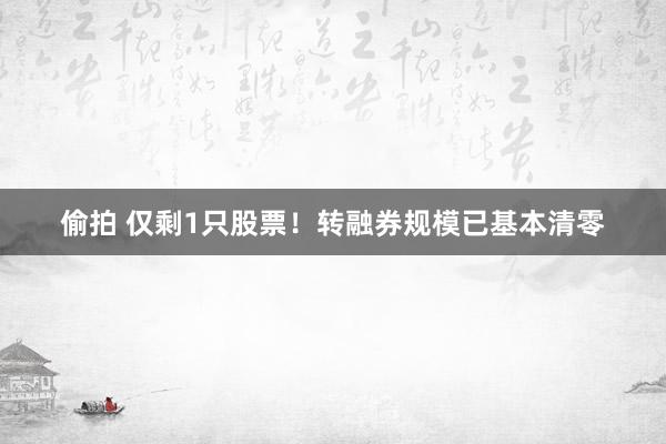 偷拍 仅剩1只股票！转融券规模已基本清零