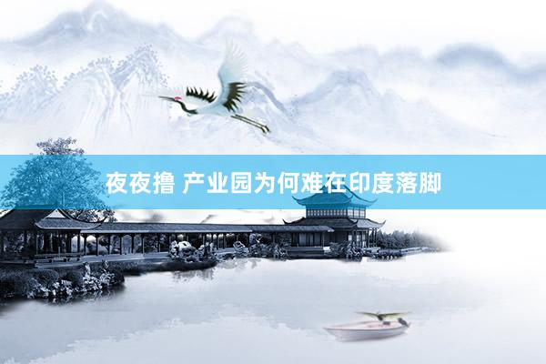 夜夜撸 产业园为何难在印度落脚