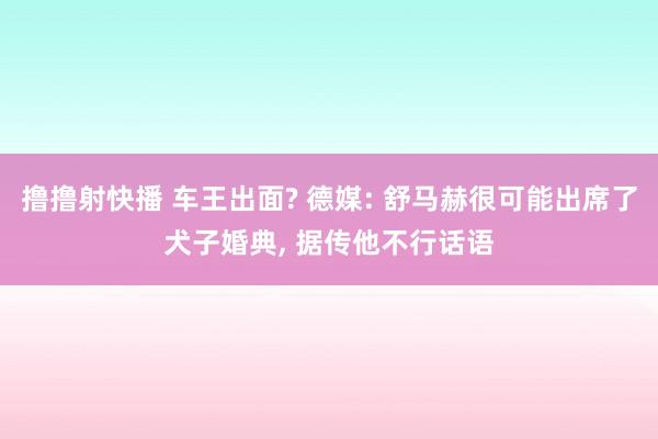 撸撸射快播 车王出面? 德媒: 舒马赫很可能出席了犬子婚典， 据传他不行话语