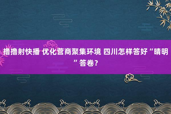 撸撸射快播 优化营商聚集环境 四川怎样答好“晴明”答卷？