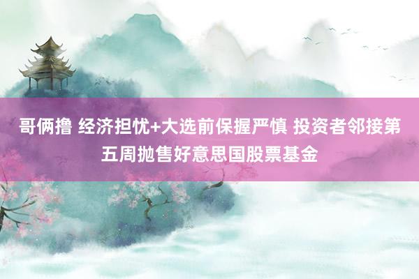 哥俩撸 经济担忧+大选前保握严慎 投资者邻接第五周抛售好意思国股票基金