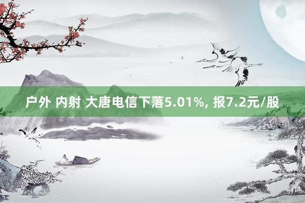 户外 内射 大唐电信下落5.01%， 报7.2元/股
