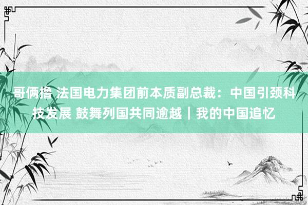 哥俩撸 法国电力集团前本质副总裁：中国引颈科技发展 鼓舞列国共同逾越｜我的中国追忆