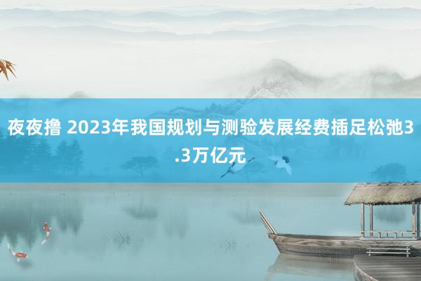 夜夜撸 2023年我国规划与测验发展经费插足松弛3.3万亿元