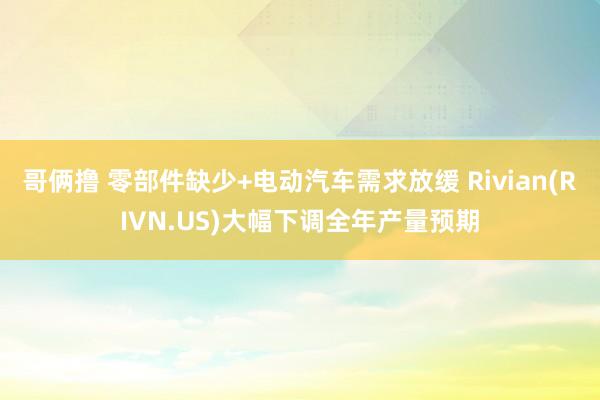 哥俩撸 零部件缺少+电动汽车需求放缓 Rivian(RIVN.US)大幅下调全年产量预期