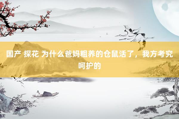 国产 探花 为什么爸妈粗养的仓鼠活了，我方考究呵护的
