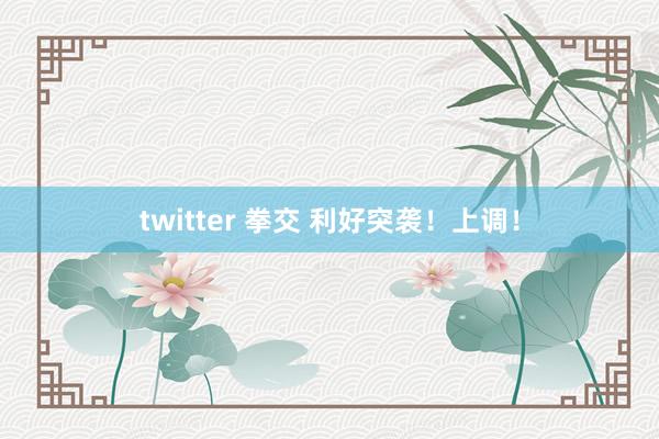 twitter 拳交 利好突袭！上调！