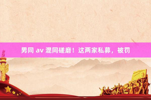男同 av 混同磋磨！这两家私募，被罚