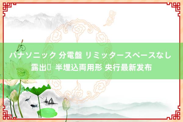 パナソニック 分電盤 リミッタースペースなし 露出・半埋込両用形 央行最新发布