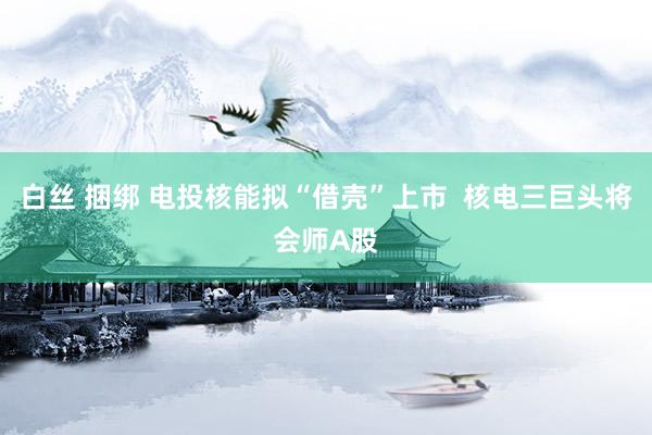 白丝 捆绑 电投核能拟“借壳”上市  核电三巨头将会师A股