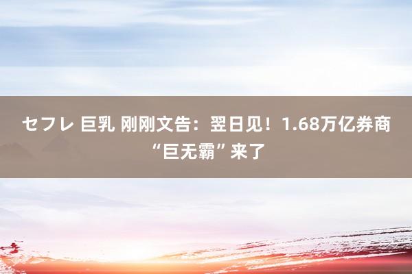 セフレ 巨乳 刚刚文告：翌日见！1.68万亿券商“巨无霸”来了