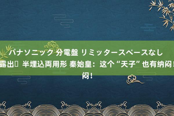 パナソニック 分電盤 リミッタースペースなし 露出・半埋込両用形 秦始皇：这个“天子”也有纳闷！