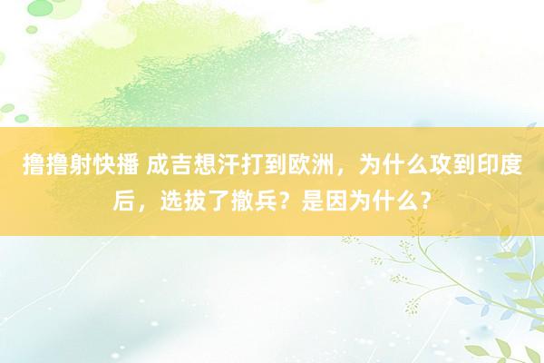 撸撸射快播 成吉想汗打到欧洲，为什么攻到印度后，选拔了撤兵？是因为什么？