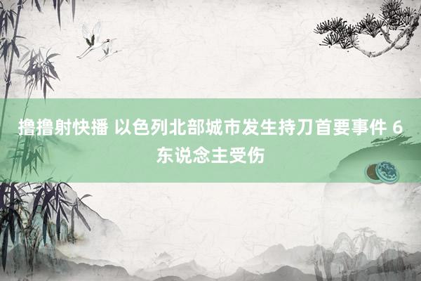 撸撸射快播 以色列北部城市发生持刀首要事件 6东说念主受伤