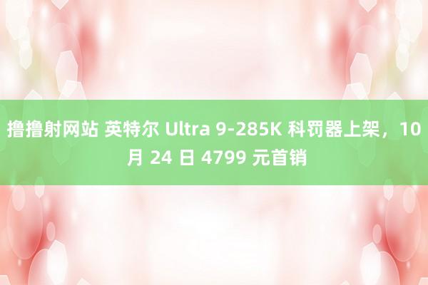 撸撸射网站 英特尔 Ultra 9-285K 科罚器上架，10 月 24 日 4799 元首销