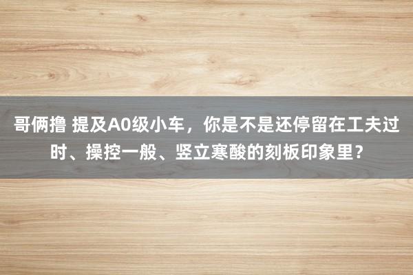 哥俩撸 提及A0级小车，你是不是还停留在工夫过时、操控一般、竖立寒酸的刻板印象里？