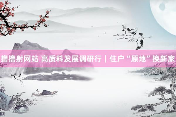 撸撸射网站 高质料发展调研行｜住户“原地”换新家