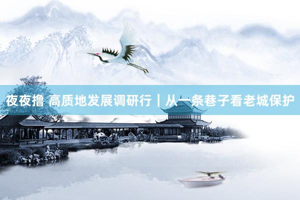 夜夜撸 高质地发展调研行｜从一条巷子看老城保护