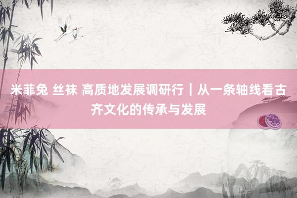 米菲兔 丝袜 高质地发展调研行｜从一条轴线看古齐文化的传承与发展